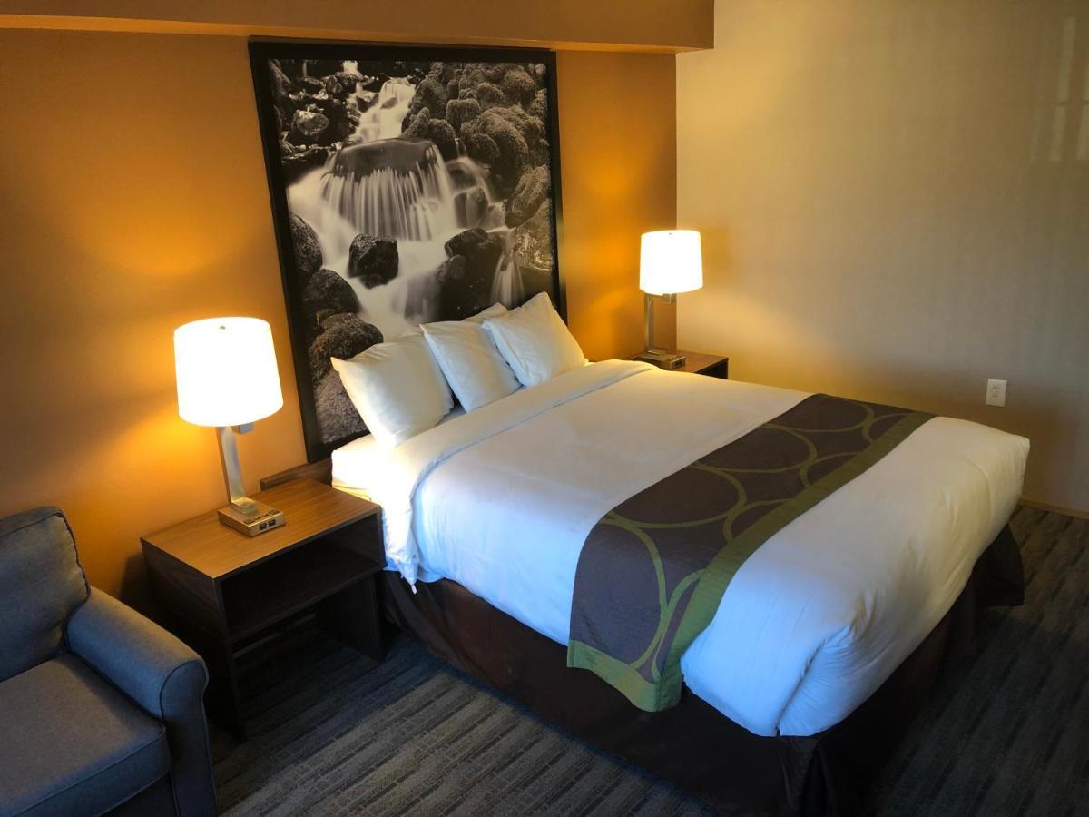Motel Super 8 By Wyndham Lynnwood Extérieur photo